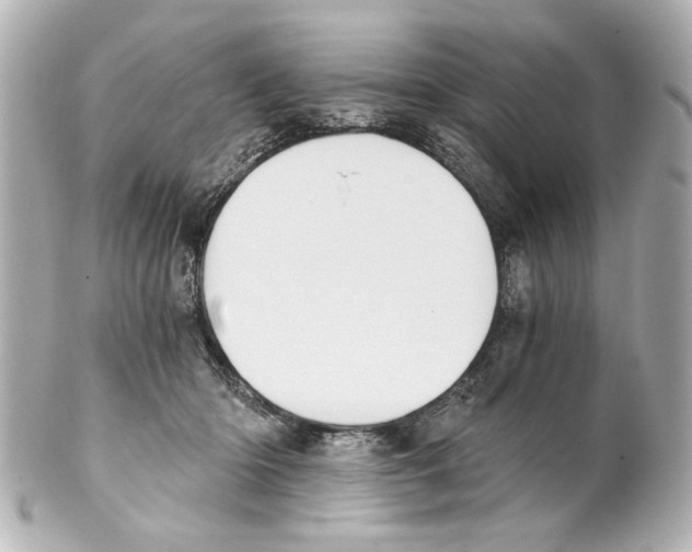 X0000101460414200808041046