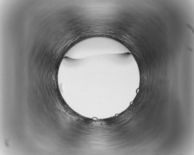 X0000101460415200808041046