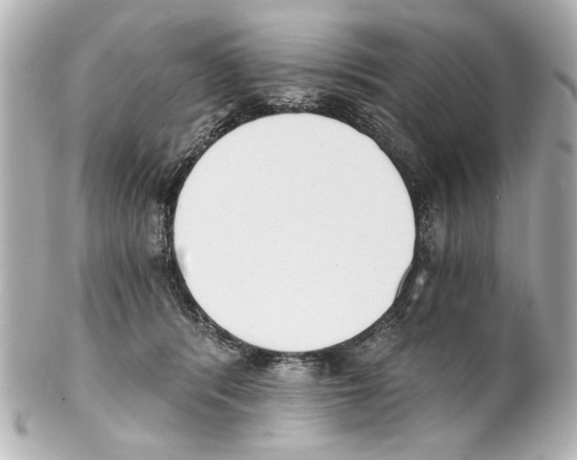 X0000101460416200808041046