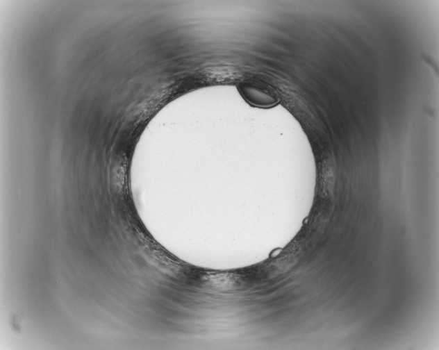 X0000101460417200808041046