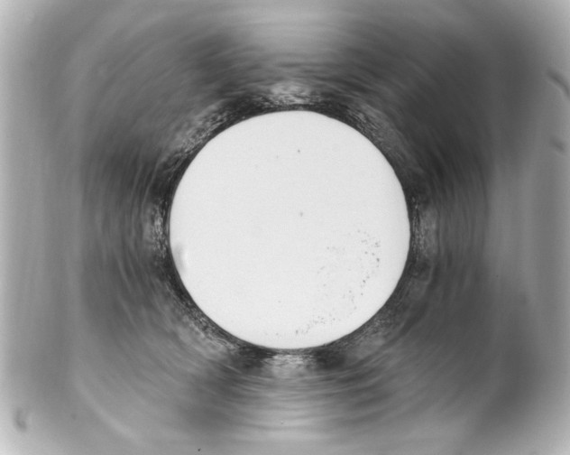 X0000101460418200808041046