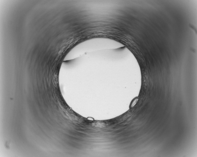 X0000101460419200808041046