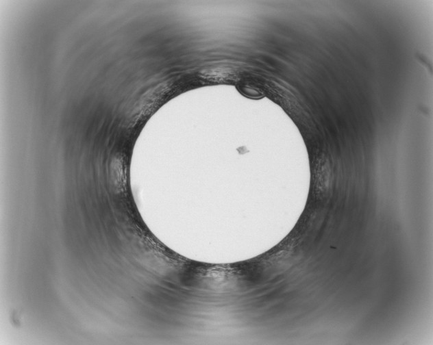 X0000101460420200808041046