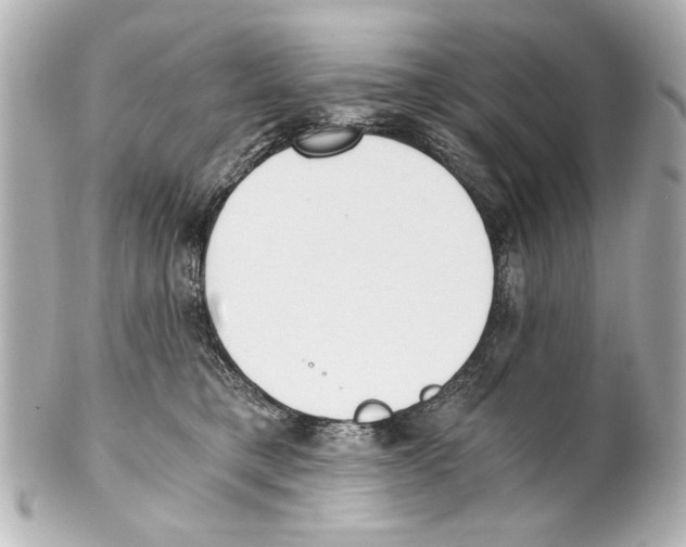 X0000101460421200808041046