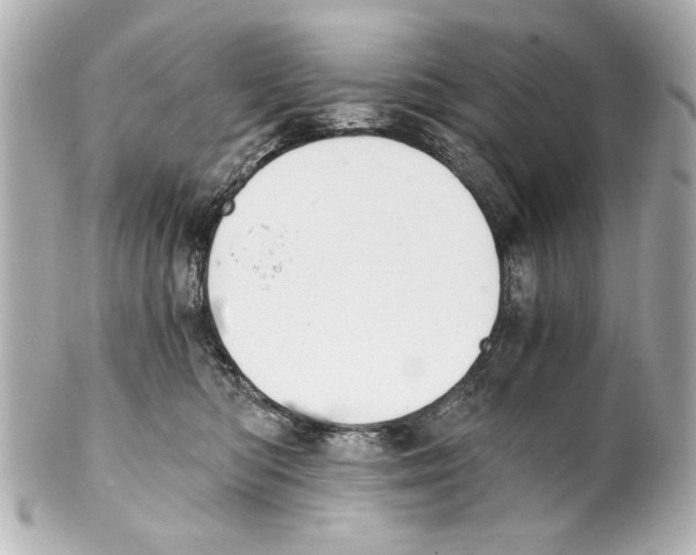 X0000101460422200808041046
