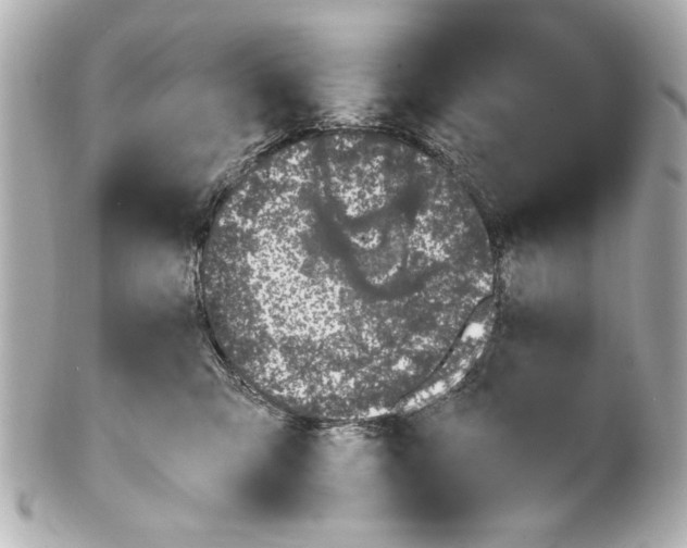 X0000101460423200808041046
