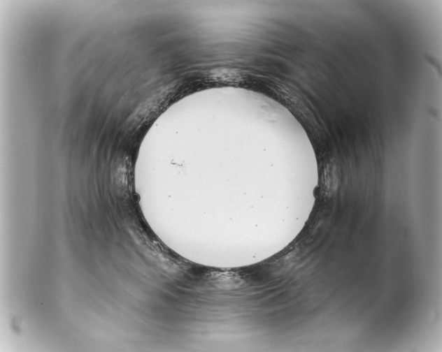 X0000101460424200808041046