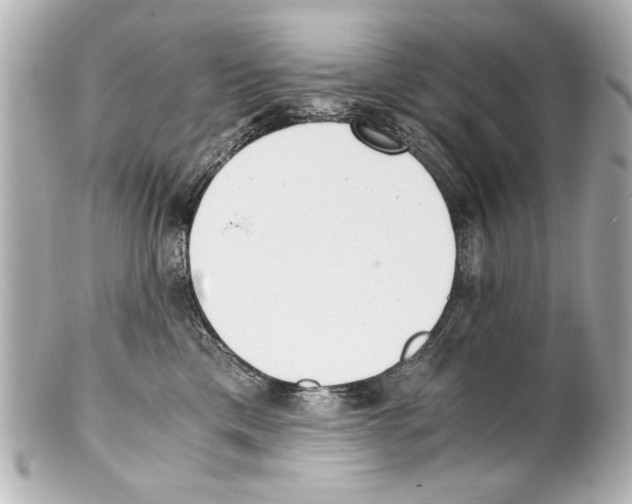 X0000101460425200808041046