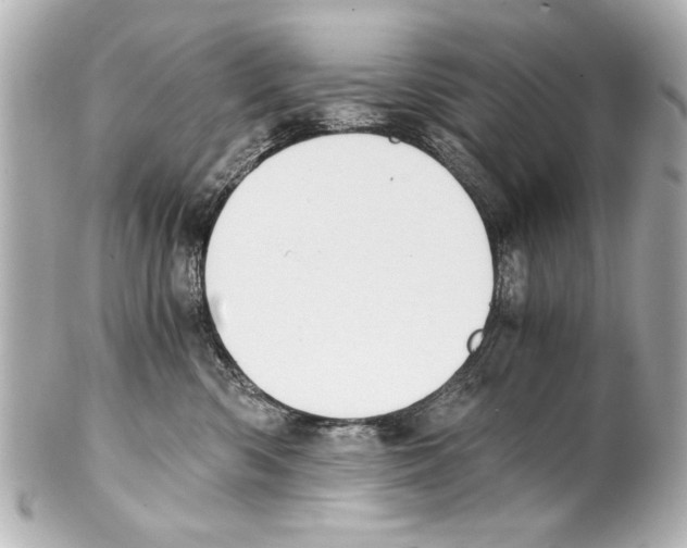 X0000101460426200808041046