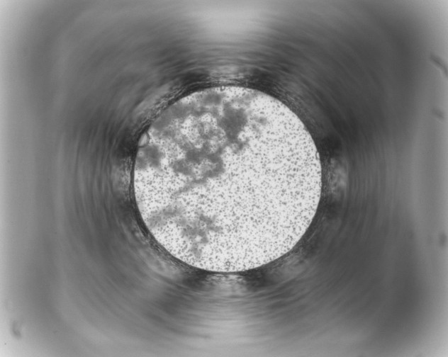 X0000101460427200808041046