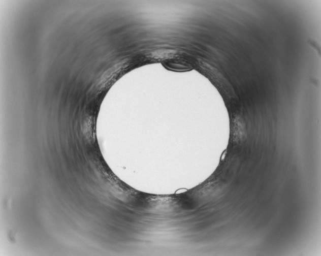 X0000101460428200808041046