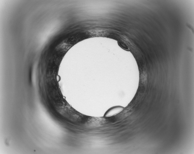 X0000101460429200808041046