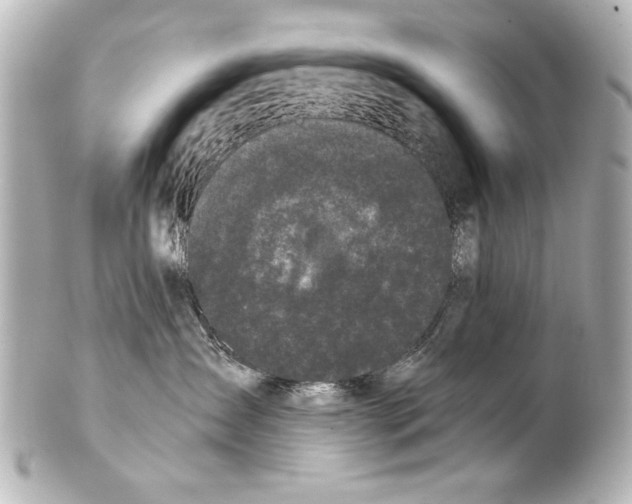 X0000101460431200808041046