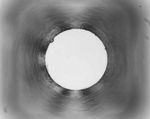 X0000101460432200808041046