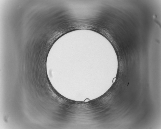 X0000101460433200808041045