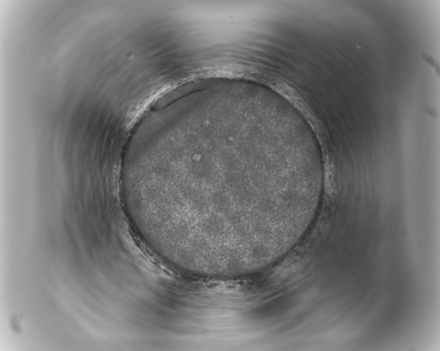 X0000101460434200808041045