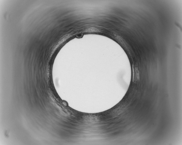 X0000101460435200808041045