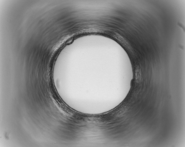 X0000101460436200808041045