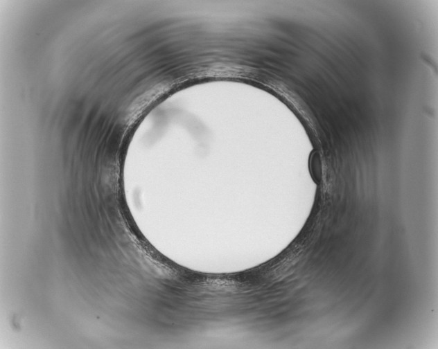 X0000101460437200808041046