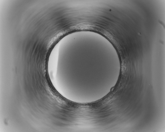 X0000101460438200808041046