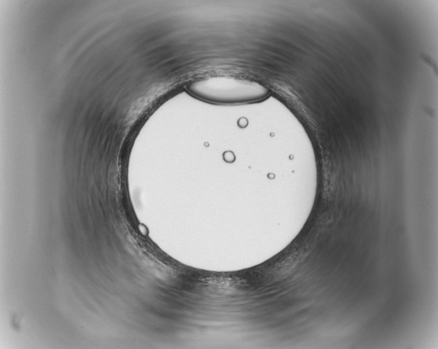 X0000101460439200808041046