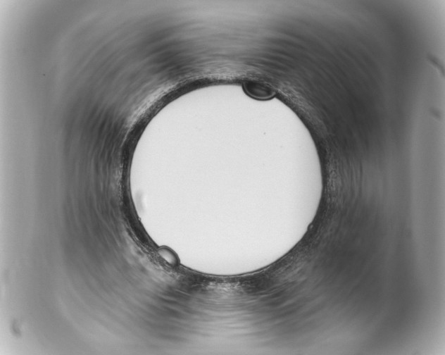 X0000101460440200808041046