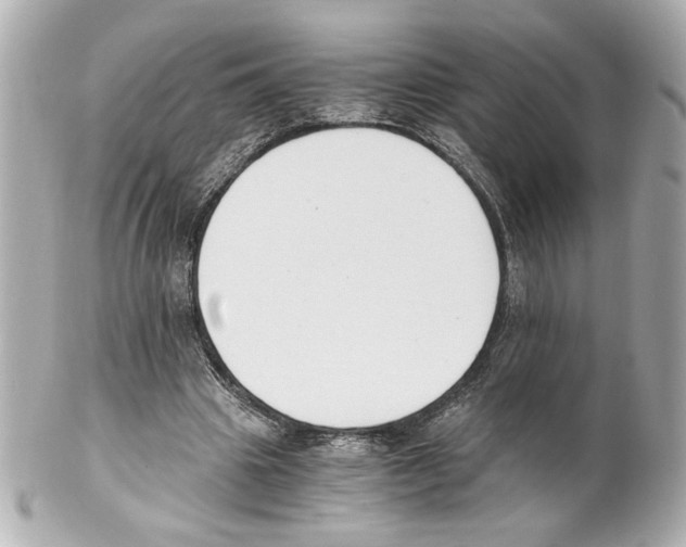 X0000101460441200808041046