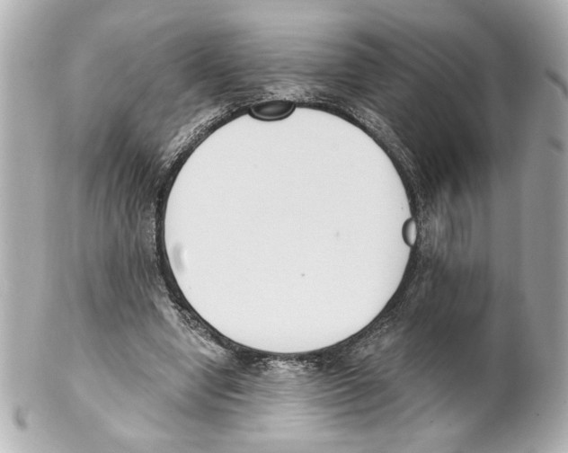 X0000101460442200808041046