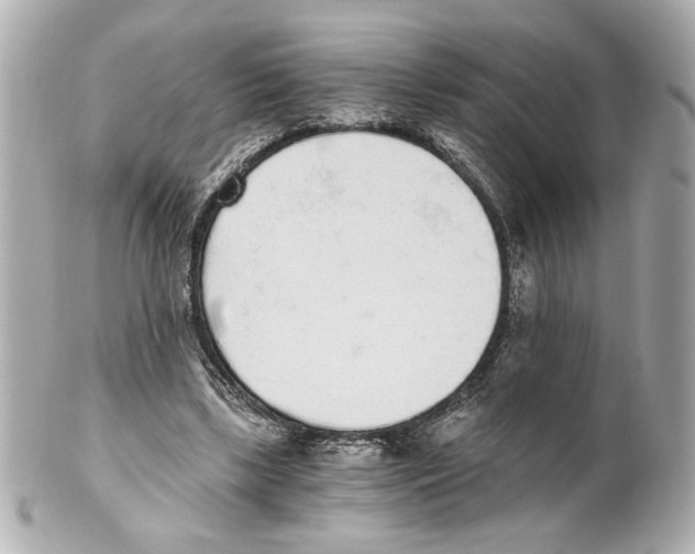 X0000101460443200808041046