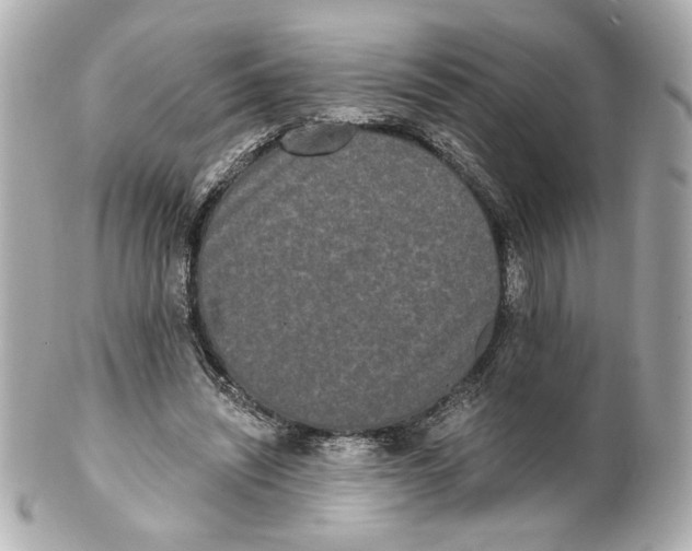 X0000101460444200808041046