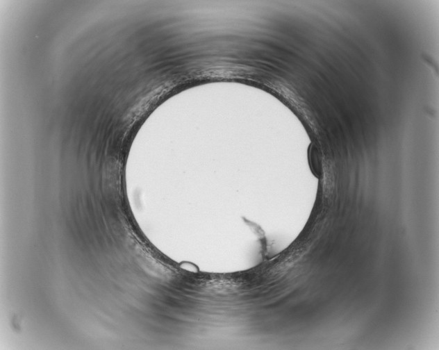 X0000101460445200808041046