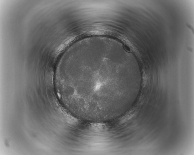X0000101460446200808041046