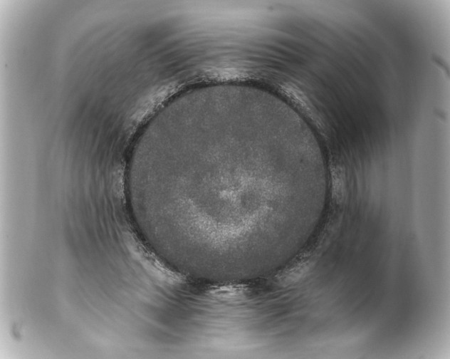 X0000101460447200808041046