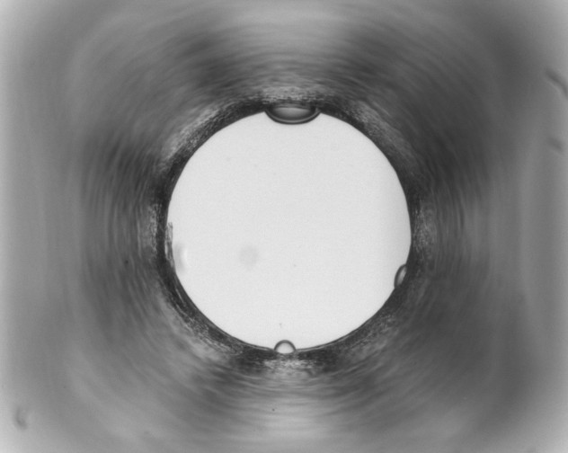 X0000101460448200808041046