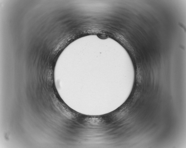 X0000101460449200808041046