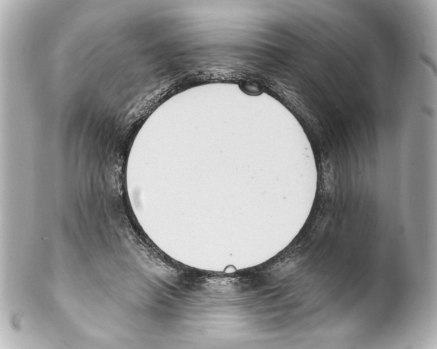 X0000101460450200808041046