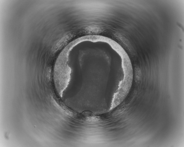 X0000101460451200808041046