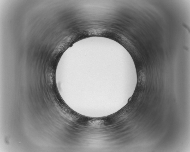X0000101460452200808041046