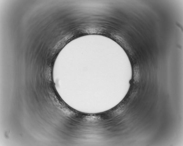 X0000101460453200808041046