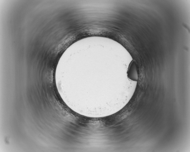 X0000101460454200808041046