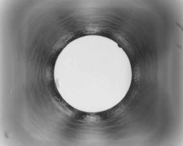 X0000101460455200808041046