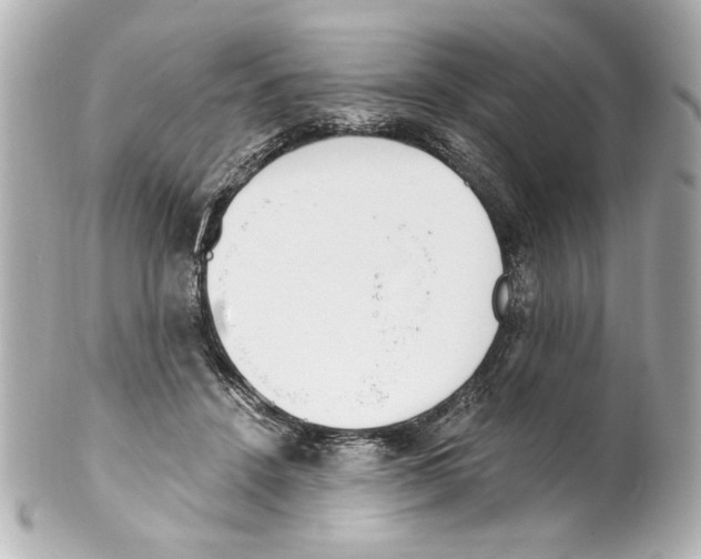 X0000101460456200808041046
