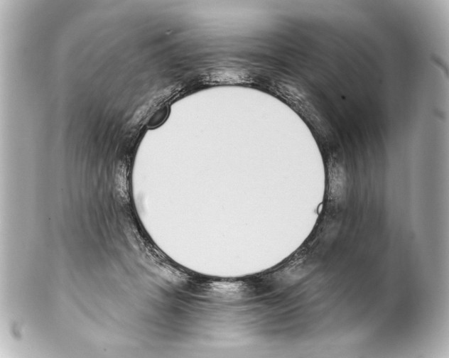 X0000101460457200808041046