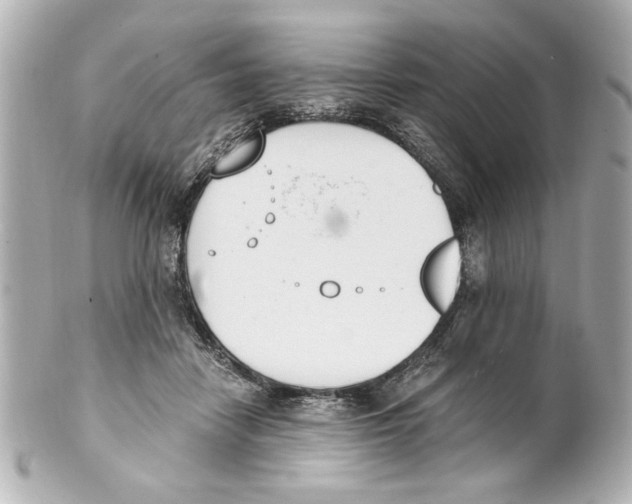 X0000101460458200808041046