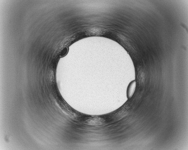 X0000101460459200808041046