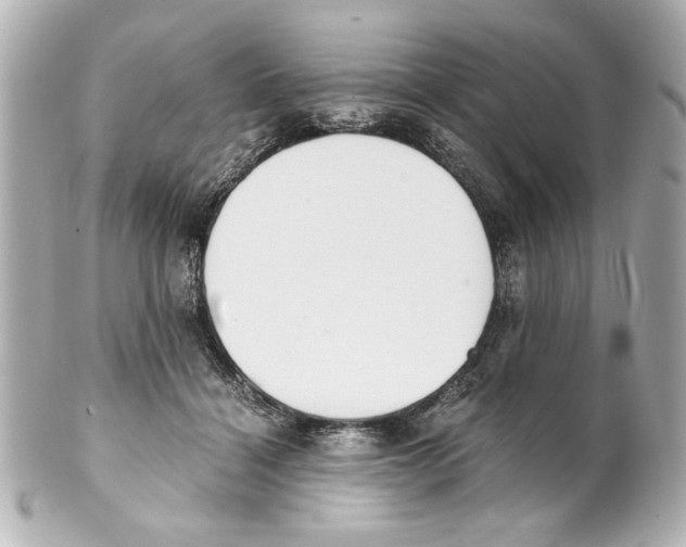 X0000101460460200808041046