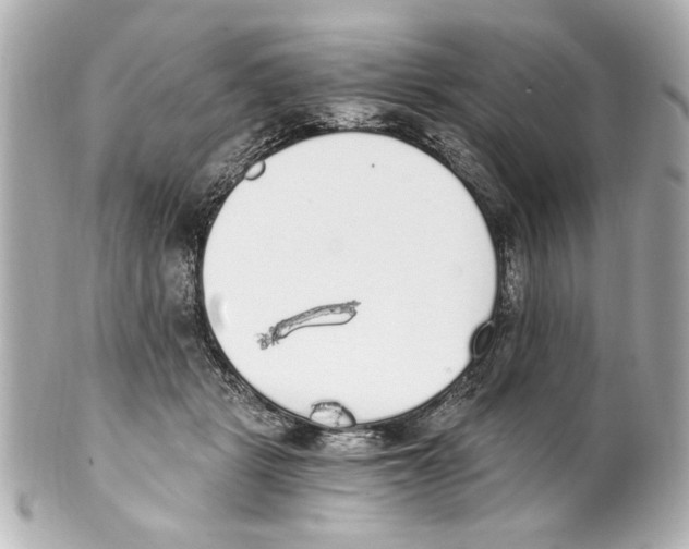 X0000101460461200808041046