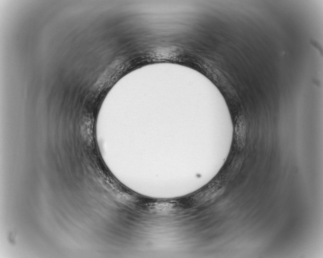 X0000101460462200808041046