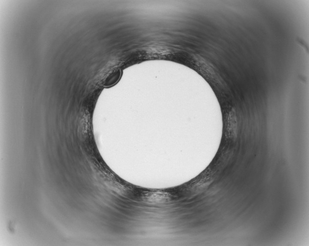 X0000101460463200808041046