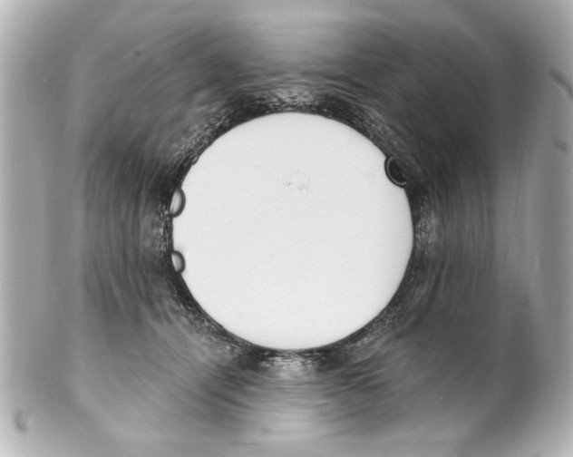 X0000101460464200808041046